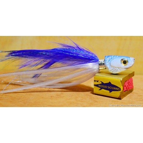 Sardina Mosso Siciliano Spinning e Traina