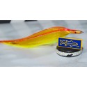 Lampuga Ricciola  amberjack  Ami  Tandem