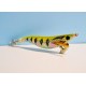 Totanare  calamariere  squid gambero