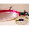 Tuna Catch and release