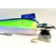 DIAMANTE TUNA FISHING