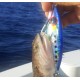 Slow Pitch Jig